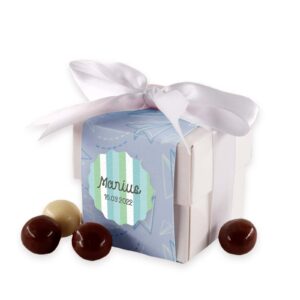 Mărturie cub mini băiețel v2 (buc)